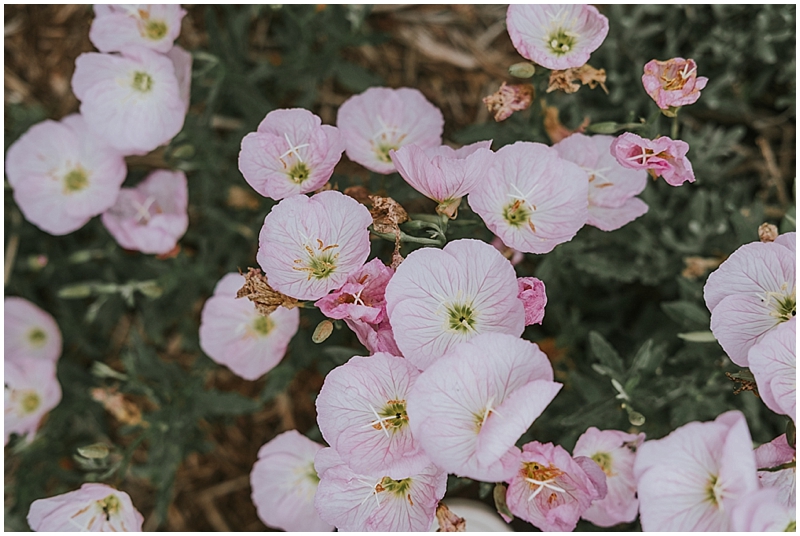 Raleigh outdoor wedding photographer