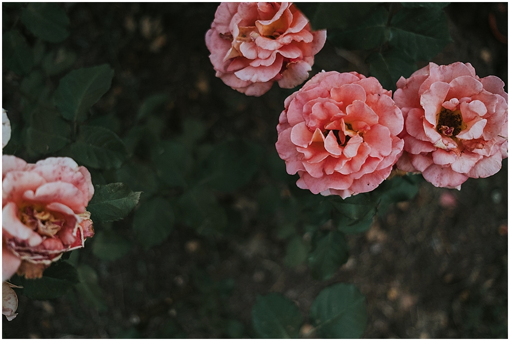 Raleigh Rose Garden Reception 