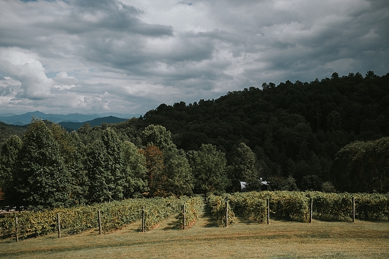 Vineyards at bettys creek wedding asheville 