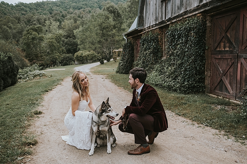 raleigh nc wedding with husky dog 