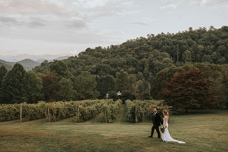 The vineyards at bettys creek sylva nc wedding