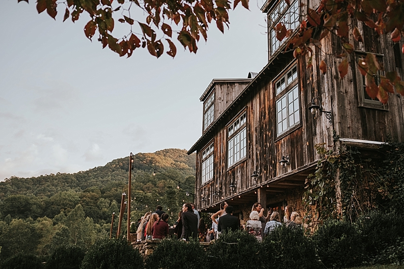 wedding photography Vineyards at Bettys Creek