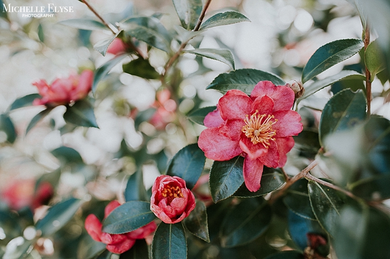 Raleigh outdoor wedding photographer