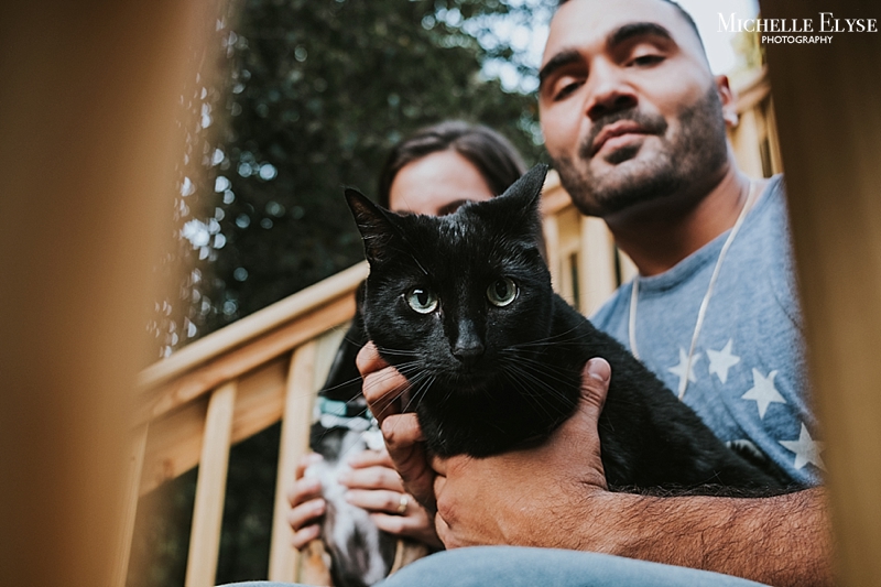 Engagement session with cats