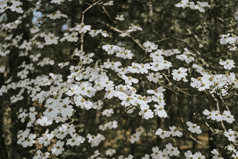 Raleigh Outdoor Wedding Venue