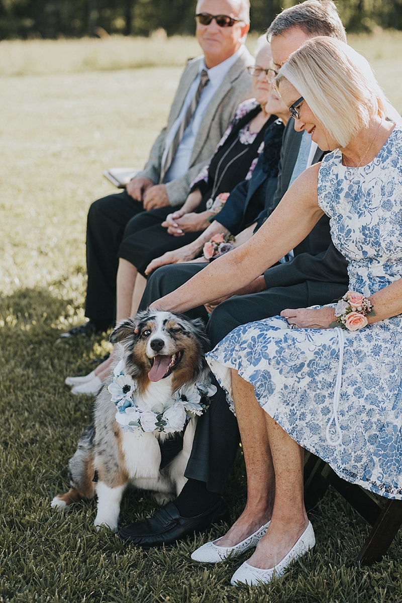 dog friendly north carolina wedding venue