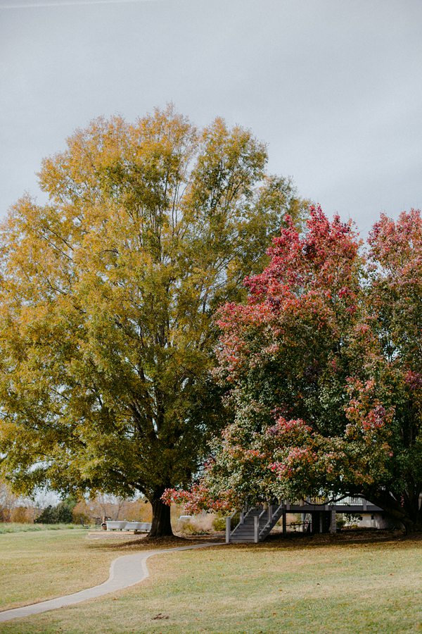 The Meadows at Firefly Farm Preserve04