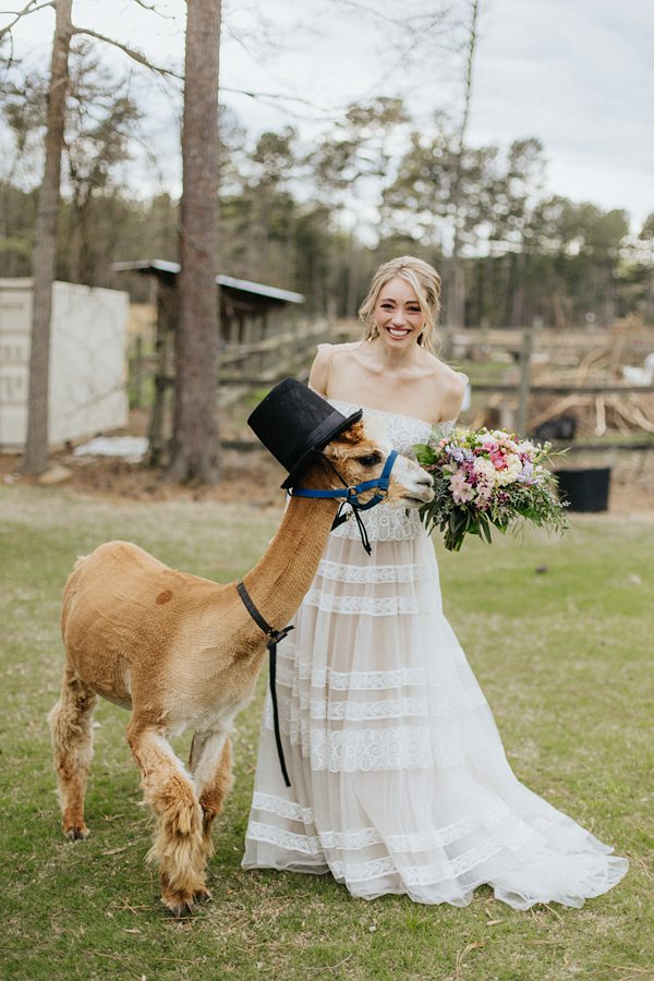 True to Color Wedding Photographer North Carolina xx