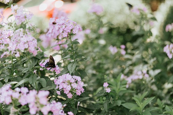 Half Mile Farm Wedding