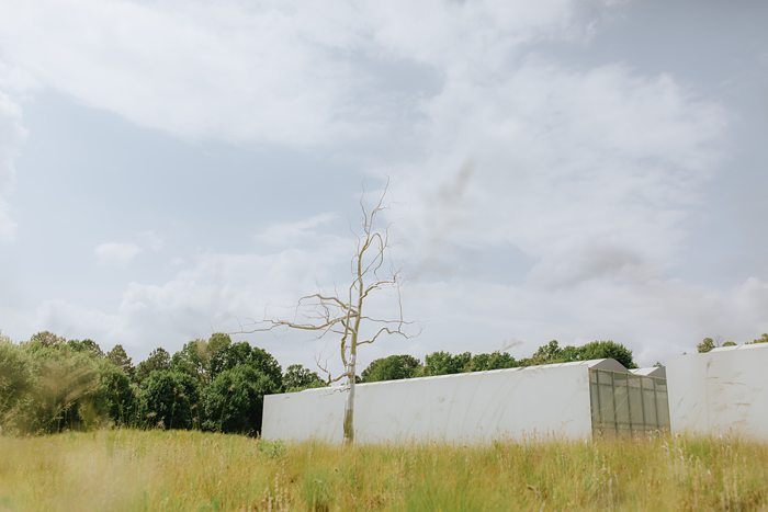 Raleigh editorial wedding photographer Modern NCMA Wedding North Carolina Museum of Art