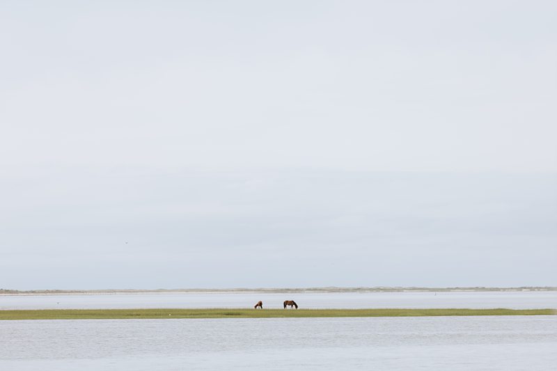 Beaufort NC Wedding Photographer x