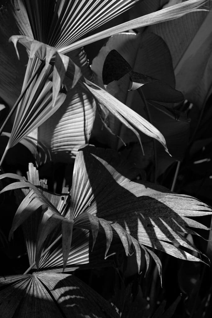 Costa Rica Wedding Photographer Best Editorial Documentary Style Destination