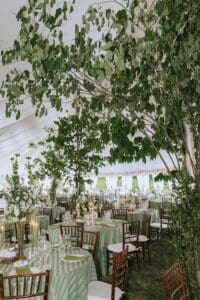 Charlottesville Wedding Photographer Editorial Documentary Backyard Tented Wedding