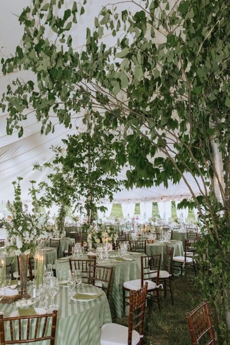 Charlottesville Wedding Photographer Editorial Documentary Backyard Tented Wedding