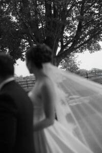Charlottesville Wedding Photographer Editorial Documentary Backyard Tented Wedding