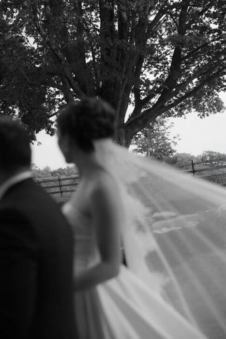 Charlottesville Wedding Photographer Editorial Documentary Backyard Tented Wedding