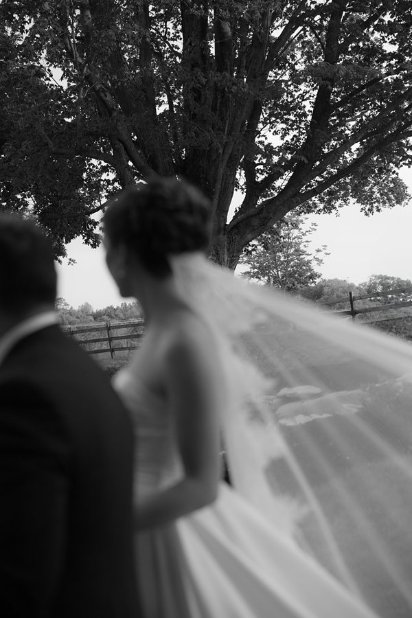 Charlottesville Wedding Photographer Editorial Documentary Backyard Tented Wedding Charlottesville Wedding Photographer Editorial Documentary Backyard Tented Wedding