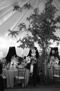 Charlottesville Wedding Photographer Editorial Documentary Backyard Tented Wedding