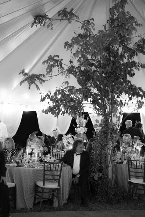 Charlottesville Wedding Photographer Editorial Documentary Backyard Tented Wedding