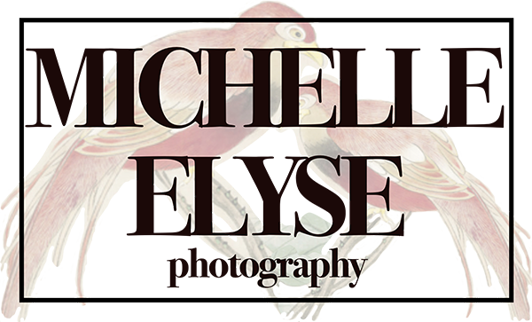 Michelle Elyse Photography logo