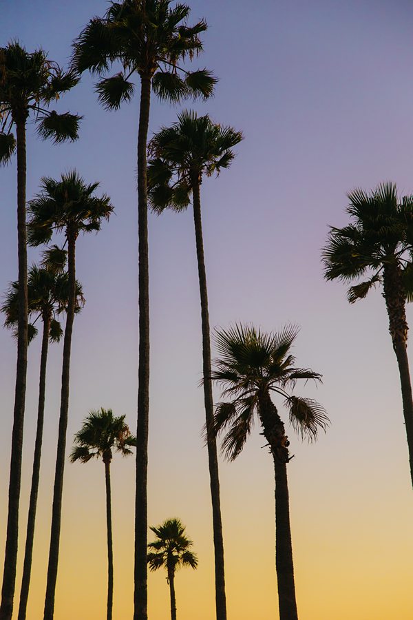 Top Documentary Editorial Wedding photographer Beverly Hills Los Angeles