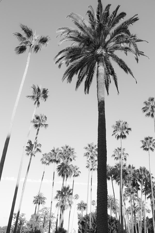 Top Documentary Editorial Wedding photographer Beverly Hills Los Angeles