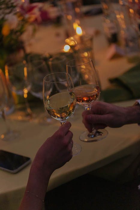 Best Charlottesville Wedding Photographer with Drone and Documentary Editorial Artistic