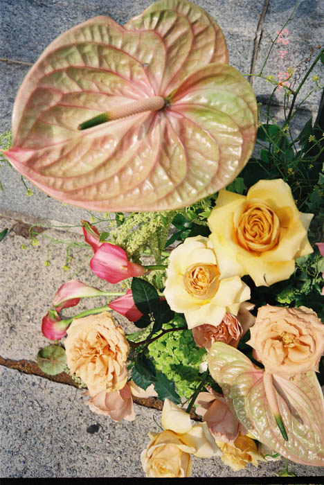 Best Richmond Wedding Photographer Virginia Country Club Wedding Film and Digital